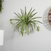 Nearly Natural 23-in Spider Plant Bush (Set of 4) - 2 of 2