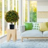 Tangkula 22" Artificial Boxwood Topiary Ball Tree 2 Pack Faux Bushes Plants with Orange Fruits & Cement Flower Pot - 2 of 4