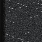 stone cold steve austin