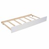 Twin over Full Bunk Bed with Ladder, Twin Size Trundle, Safety Guardrail - 2 of 4