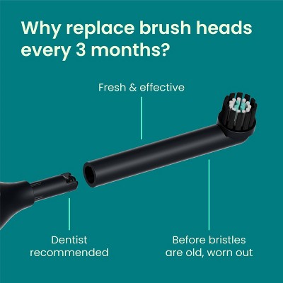 quip 360 Oscillating Brush Head Refill - 2pk