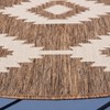Beach House BHS171 Power Loomed Indoor/Outdoor Rugs - Safavieh - 3 of 4