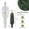 JUJABU 2pcs/Set 4FT Realistic Plastic Faux Green Pine Cypress Trees – Indoor & Outdoor Decoration - 2 of 4