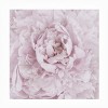 Trademark Fine Art - Cora Niele Pink Peony Flower Matted Framed Art - 3 of 4