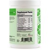 Wellah Creatine + Hydration Powder (Cucumber Lime) 30 Servings - Electrolyte Drink Mix with 3g of Creatine Monohydrate - 4 of 4