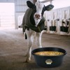 Little Giant HP650 Indoor Outdoor Heavy-Duty Rubber Tub Feeder Pan Bowl for Livestock, Black - 4 of 4