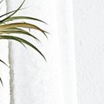 gray curve lines