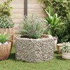 vidaXL Hexagonal Gabion Raised Bed 39.4"x35.4"x19.7" - 3 of 4
