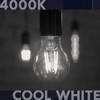 Luxrite Vintage A19 LED Light Bulbs 100 Watt Equivalent, 1600 Lumens, 4000K Cool White, Dimmable, 12W, Damp Rated, UL Listed, E26 Medium Base 6 Pack - 2 of 4