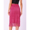 Allegra K Women's High Waist Bodycon Tiered Pencil Midi Tassel Fringe Skirts - 4 of 4