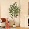 DR.Planzen 5-7FT Artiicial Ficus Tree with Round White Planter, Pre Potted Faux Plant for Indoor Home Decor - 4 of 4