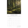 2026 Square Wall Calendar, Woodland Scenes, 16-Month Natural World Theme with 180 Reminder Stickers (12x12 In) - 3 of 4