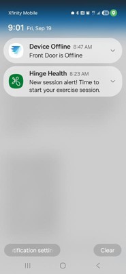 Guest review image 5 of 5, zoom in