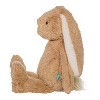 Manhattan Toy Willow the Coffee & Beige Snuggle Bunnies 12" Stuffed Animal with Embroidered Accents - image 3 of 4