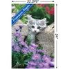 Trends International Keith Kimberlin - Kitten - Stones and Flowers Unframed Wall Poster Prints - 3 of 4
