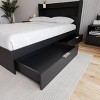 Nexera Hunter 2 Drawer Storage Bed - 4 of 4