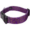Country Brook Petz HossFit Jr Wide Deluxe Dog Collar - Paisley Collection - 4 of 4