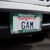 Binghamton University Tie-Dye License Plate Tag Frame - image 2 of 4