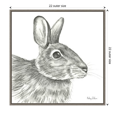 Graphite Rabbit Sketch Framed Canvas Wall Art 22" x 22"