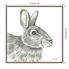 Amanti Art Watercolor Pencil II Rabbit by Kelsey Wilson Canvas Wall Art Print Framed 22-in. x 22-in. - 4 of 4