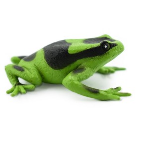 Collectible Wildlife Gifts | Poison Dart Frog, Green and Black, Hand Painted, Amphibian, Hard Rubber, Rainforest Frog,  Toy, Gift,  2"  F024 B37 - 1 of 4