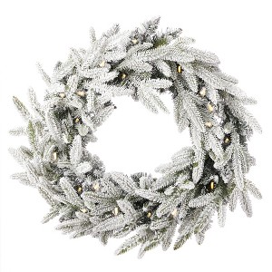 Christmas Royal Oaks Flocked Fir 24in Wreath, Pre-Lit 40 Warm White LED Lights w/ 8 Functions, 110 PE/PVC Tips - 1 of 4