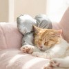 Mewoofun Pet Couch Bed - 3 of 4