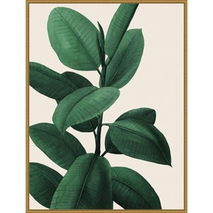 Amanti Art Jeweled Ficus I by Grace Popp Framed Canvas Wall Art - 1 of 4