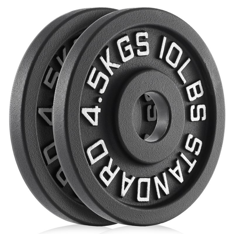 Philosophy Gym Set of 2 Cast Iron Olympic 2-inch Weight Plates, 2 of 6