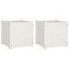 Garden Planters 2 pcs White 40x40x40 cm Solid Pinewood - 2 of 4