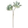 Fuzzy Green Floral Stem 36"H EVA Foam & Wire Botanical Accent – Flexible Decorative Faux Flower (Set of 6) by Kalalou - 2 of 3