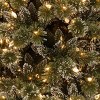 HGTV Pre-lit Glittered Slim Bristle Pine Artificial Christmas Tree with Warm White LED Lights - 3 of 4