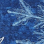 blue