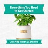 Back to the Roots Organic Sweet Basil Wellness Planter Grow Kit with Pot Soil and Seeds - 3 of 4