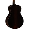 Breedlove Premier Adirondack Spruce-Brazilian Rosewood Limited Edition Cutaway Concerto Acoustic-Electric Guitar Tobacco Burst - 2 of 4