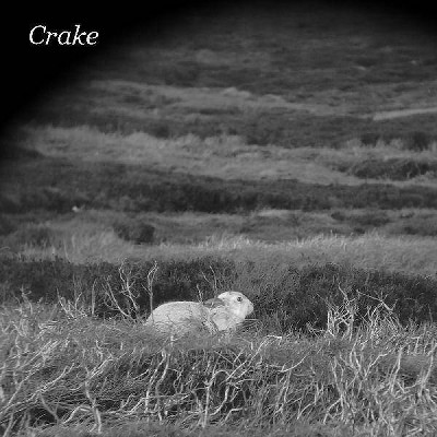 Crake - Enough Salt (For All Dogs) B/W Gef (Vinyl)