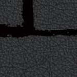 tampa bay buccaneers