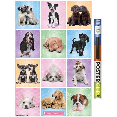 PUPPY LOVE POSTER PUPPIES DOGS KISSING NEW 34x22 FREE SHIPPING 
