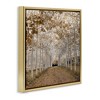 Stupell Industries White Gold Birch Grove Floating Frame Canvas Art - 2 of 4