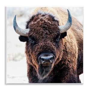 Stupell Industries American Bison Photography Wall Plaque Art - 1 of 4
