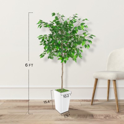 6ft Artificial Ficus Tree with White Planter
