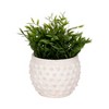 Terracotta Planter - Textured Pottery Design - Durable Indoor/Outdoor Plant Pot for Home & Garden - Stylish Clay Flower Pot - 2 of 4