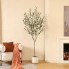 DR.Planzen 5-7FT Faux Olive Tree with Oval White Planter, Pre Potted Fake Greenry Olive Tree for Home Decor - 2 of 4