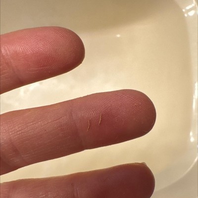 Guest review image 1 of 1, zoom in