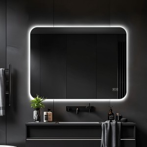 20 in. W x 28 in. H Rectangular Bathroom Vanity Mirror in Silver - 1 of 4