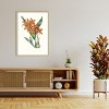 Amanti Art Paxton Tropicals IV by Jennifer Paxton Parker Wood Framed Wall Art Print - 4 of 4