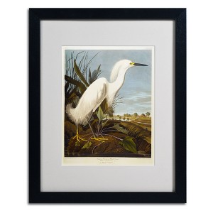 Trademark Fine Art -John James Audubon 'Snowy Heron' Matted Framed Art - 1 of 4