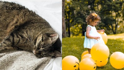 Chrome Side-Mounted Adjustable Spray Bidet Attachment