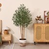 DR.Planzen 5-7FT Artificial Olive Tree with Real Wood Trunks & Triple-Stem Design in White Planter, Lifelike Faux Tree Plant for Indoor Outdoor Decor - 4 of 4