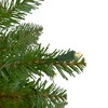 Northlight 6.5' Prelit Artificial Christmas Tree Full Northern Pine - Warm Clear LED Lights - 4 of 4